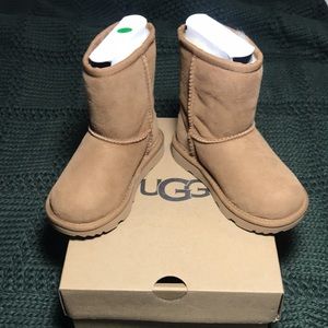 Uggs Classic Short II - Chestnut Size US 8